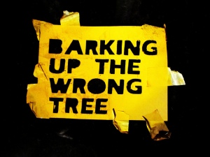 barking up the wrong tree